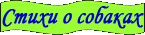 Стихи о собках